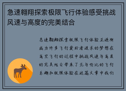 急速翱翔探索极限飞行体验感受挑战风速与高度的完美结合